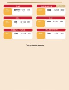 Centennial Adult 8 week session schedule at aerial cirque over denver