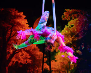An aerial dancer on a sling in a pink feather outfit looking at the photographer
