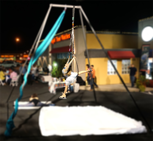 Book a Ice Aerialist for your next event!